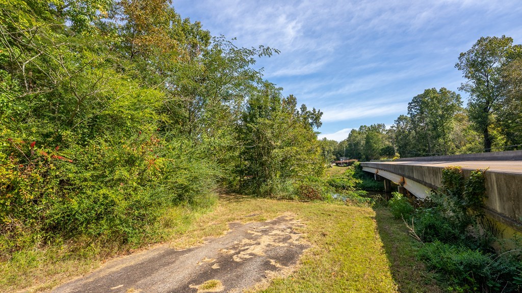 0 Lick Skillet Road Hamilton, GA 31811 - Photo 7 of 14
