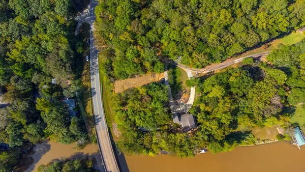 a picture of flowers