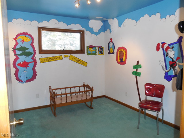 1008 Lincoln Road Canfield, OH 44406 - Photo 14 of 22 Gallery Image 14