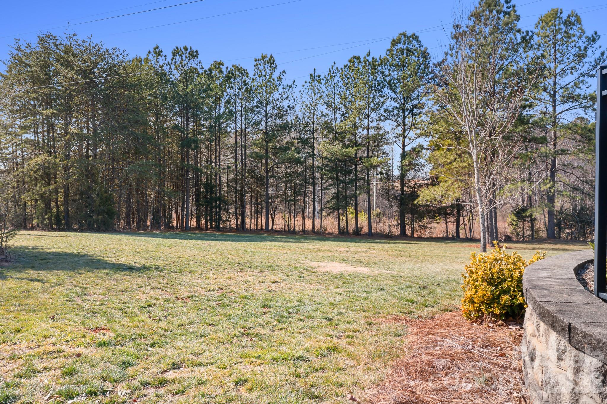 987 Jerry Lees Way Denver, NC 28037 - Photo 26 of 28