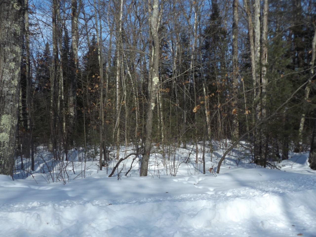 Three O Neil Road, Unit LOT #15 Eagle River, WI 54521 - Photo 11 of 16 Gallery Image 11