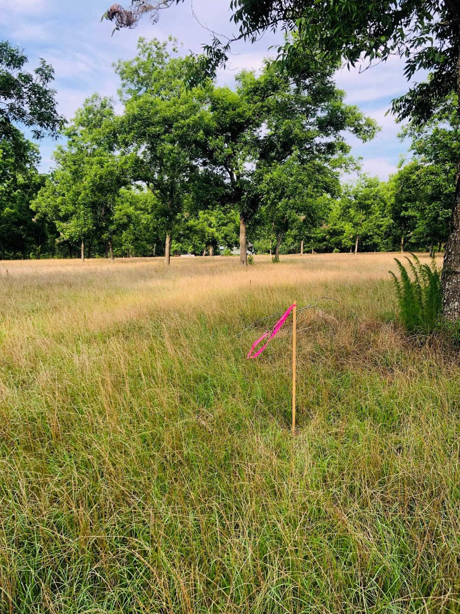 0 Nancy Loop Fairhope, AL 36532 - Photo 3 of 15
