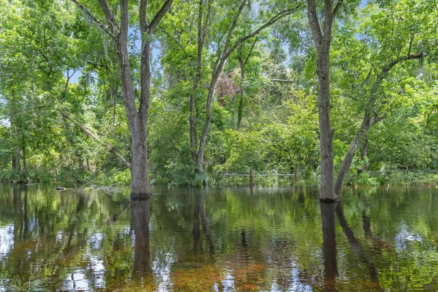 $405,000 | 16155 County Road 946, Brazoria, TX 77422