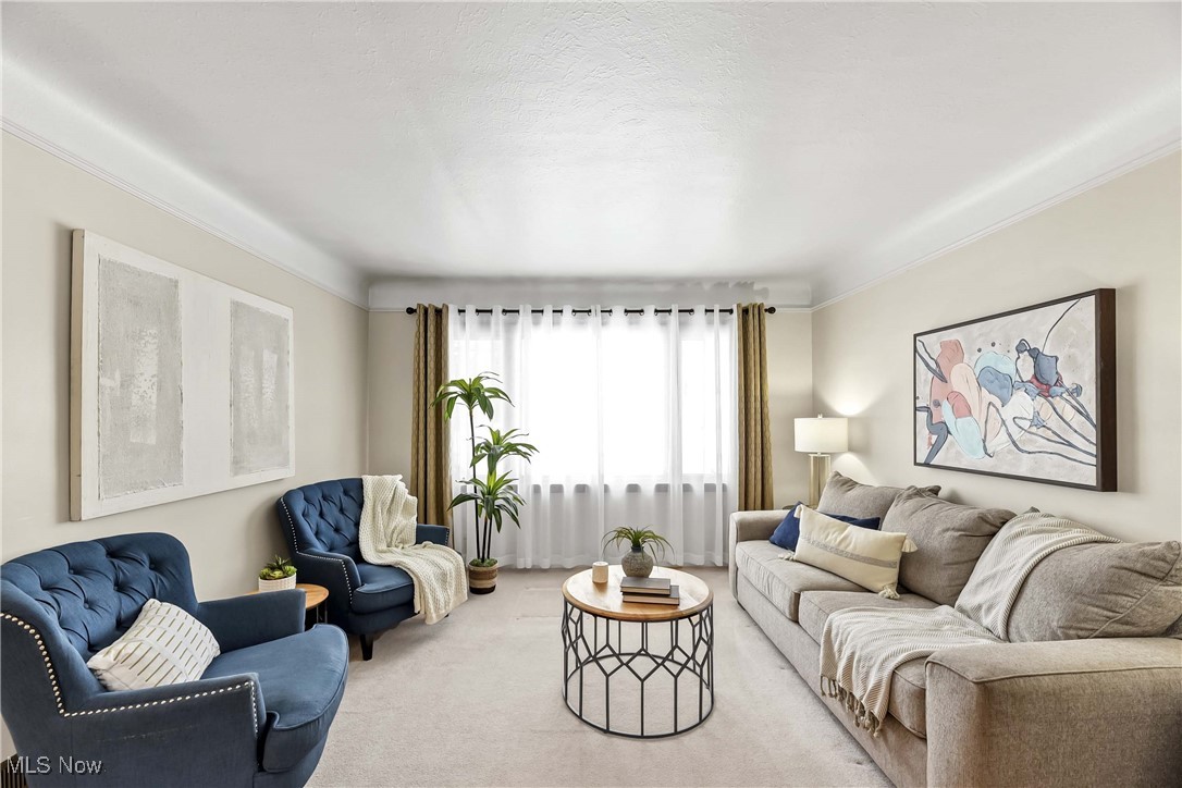 Living room featuring light colored carpet