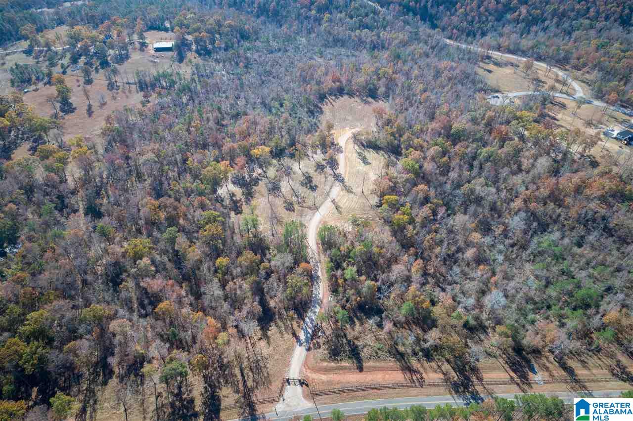 5721 South Shades Crest Road, Unit 1 Helena, AL 35022 - Photo 7 of 9