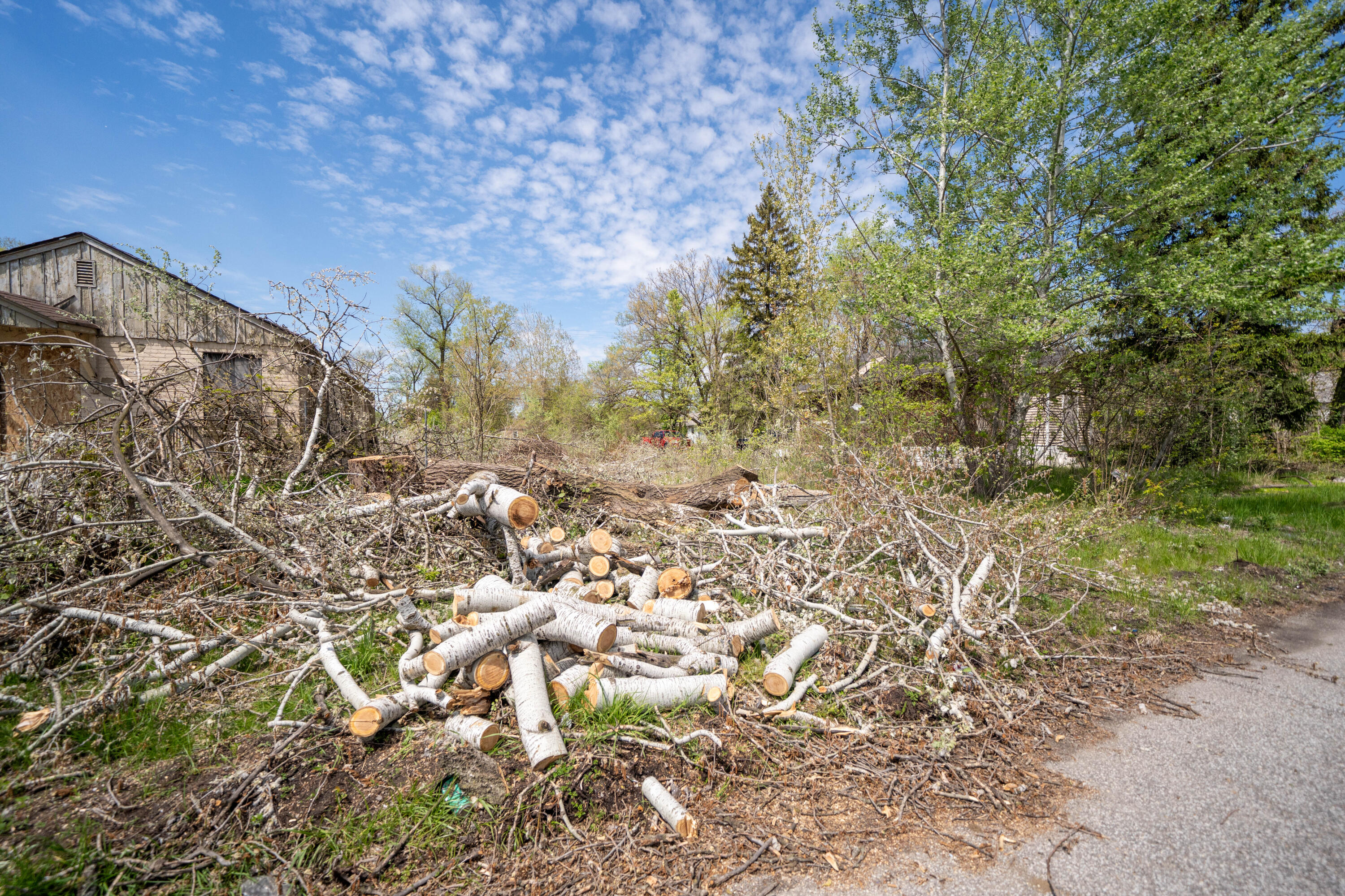 2668 Madison Street Gary, IN 46407 - Photo 13 of 13 a backyard of a house