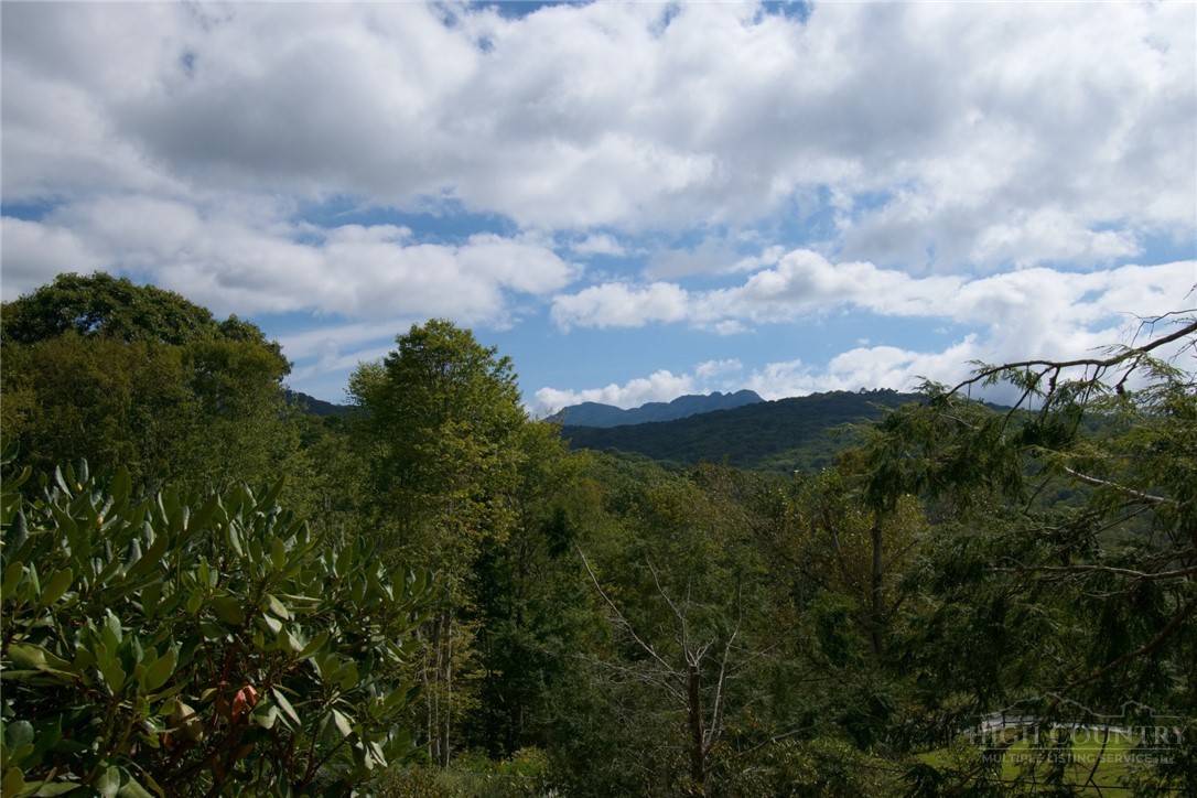 2209-2211 Sugar Mountain 2 Road Newland, NC 28657 - Photo 3 of 50