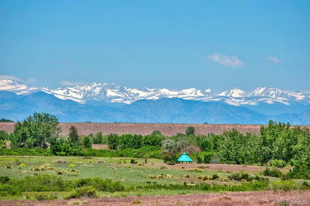 a view of a big yard with large tree