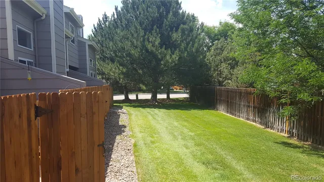 a view of a backyard