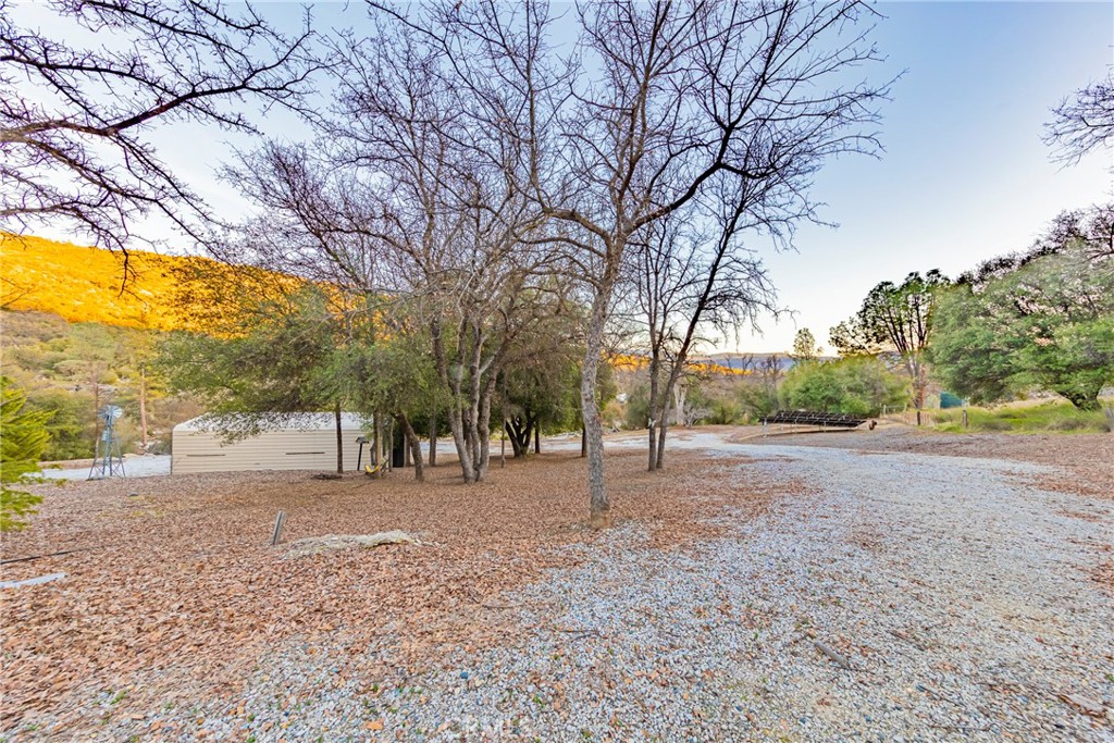 41715 River Falls Road Oakhurst, CA 93644 - Photo 7 of 65 a view of dirt yard with a trees