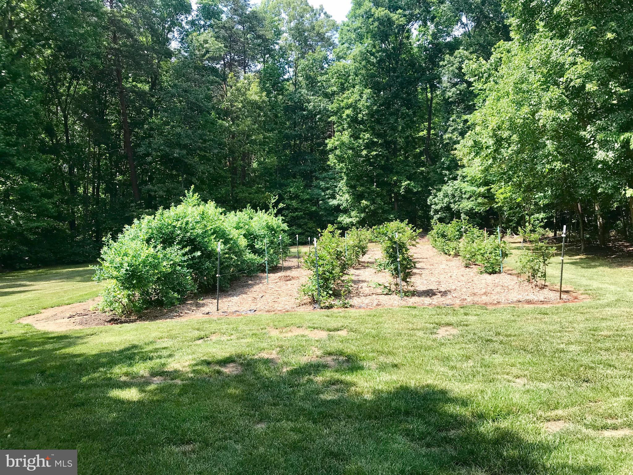 18540 Old Ridge Road Montpelier, VA 23192 - Photo 26 of 30 Gallery Image 26