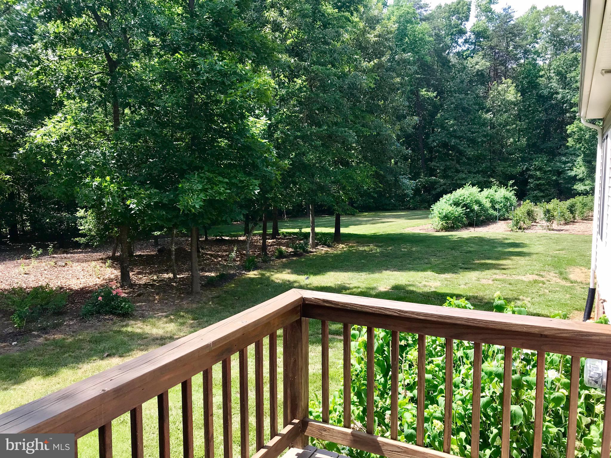 18540 Old Ridge Road Montpelier, VA 23192 - Photo 29 of 30 Gallery Image 29