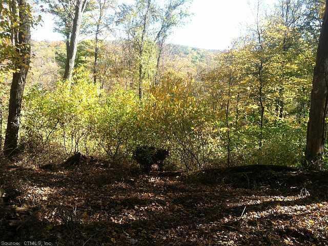0 Kent Hollow Road South Kent, CT 06785 - Photo 1 of 1 Land/Lot.