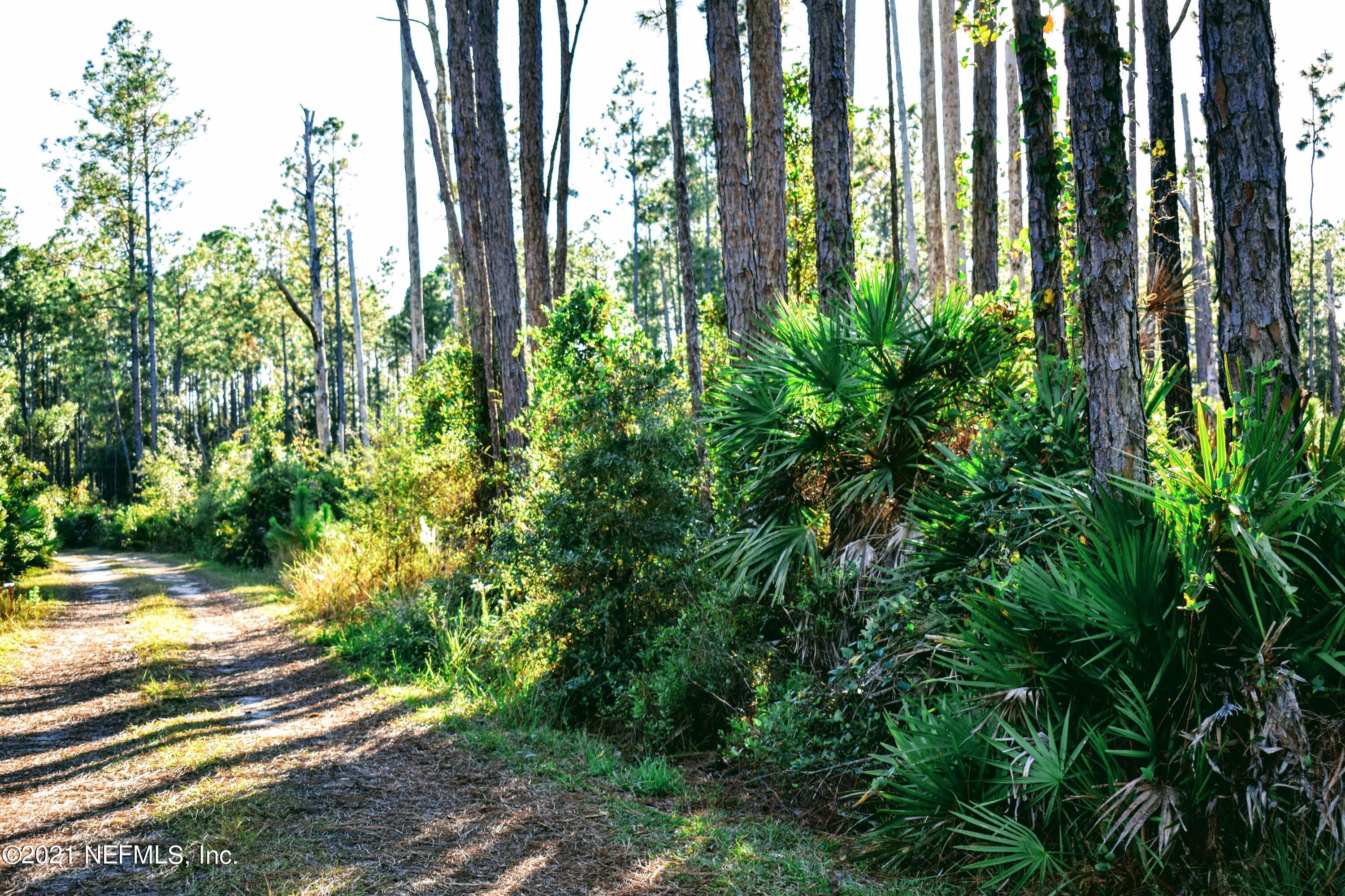 0 East Bannerville Road Palatka, FL 32177 - Photo 11 of 11 DSC_0102