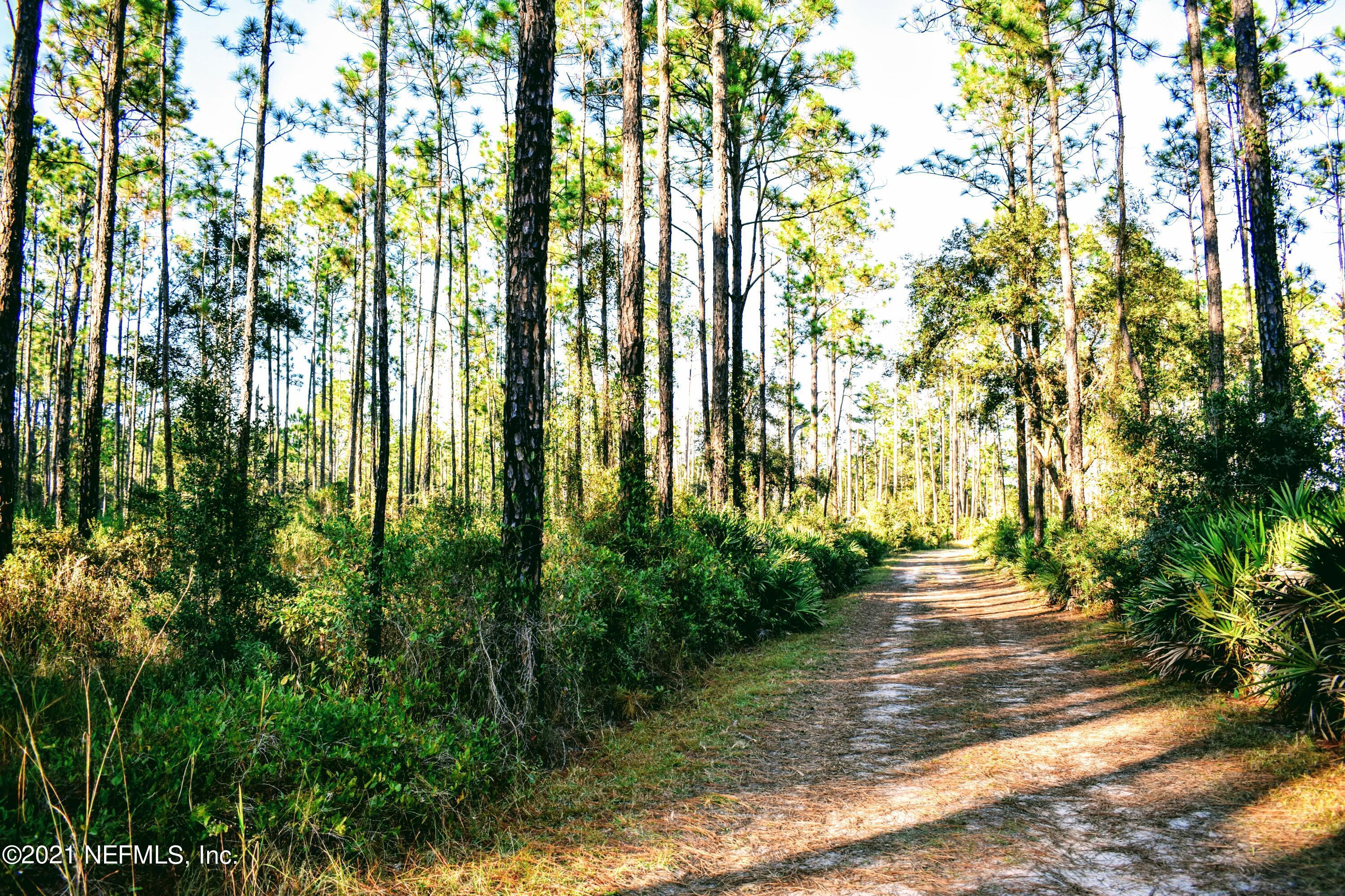 0 East Bannerville Road Palatka, FL 32177 - Photo 3 of 11 DSC_0092