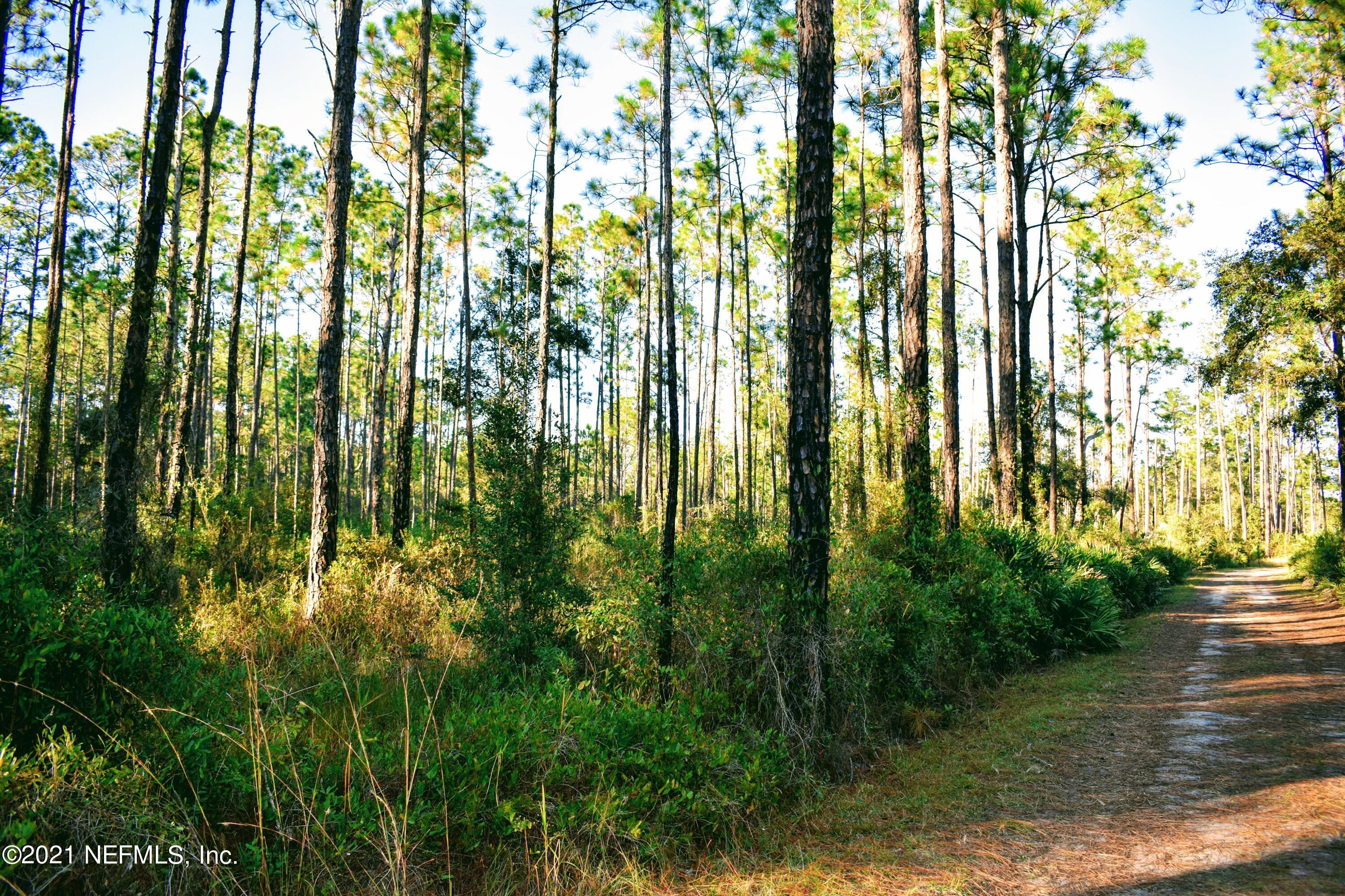 0 East Bannerville Road Palatka, FL 32177 - Photo 4 of 11 DSC_0091
