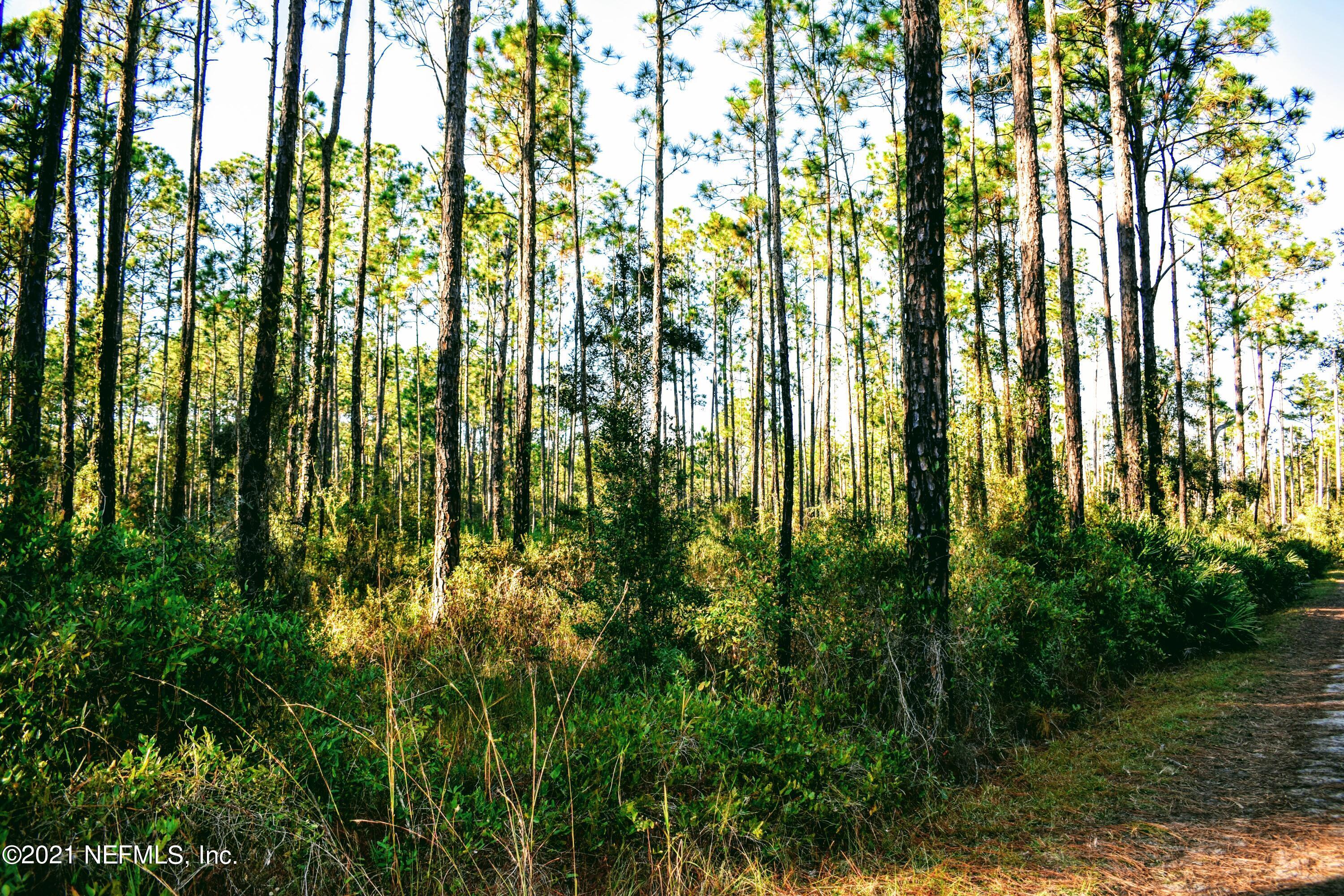 0 East Bannerville Road Palatka, FL 32177 - Photo 5 of 11 DSC_0093