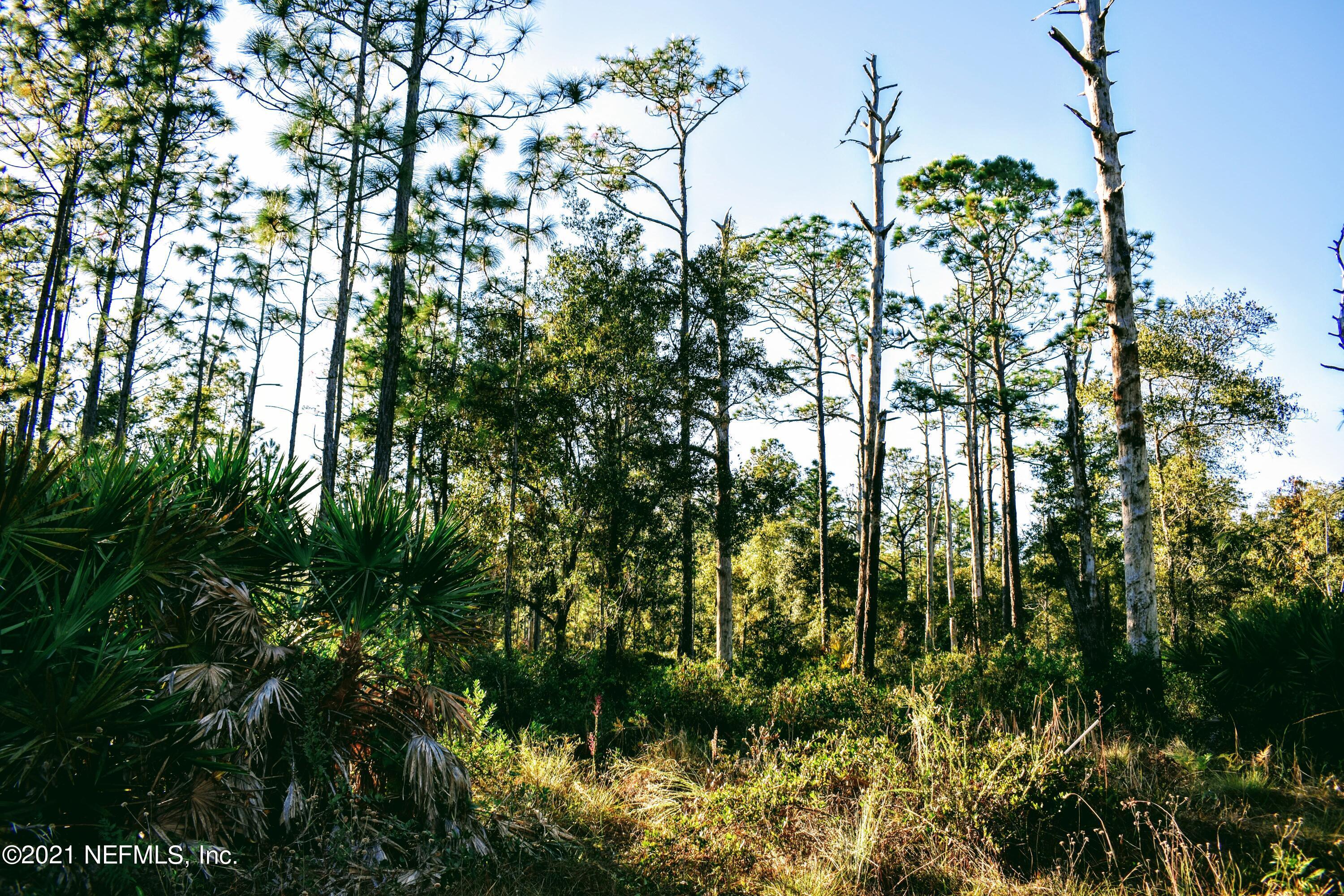 0 East Bannerville Road Palatka, FL 32177 - Photo 7 of 11 DSC_0096