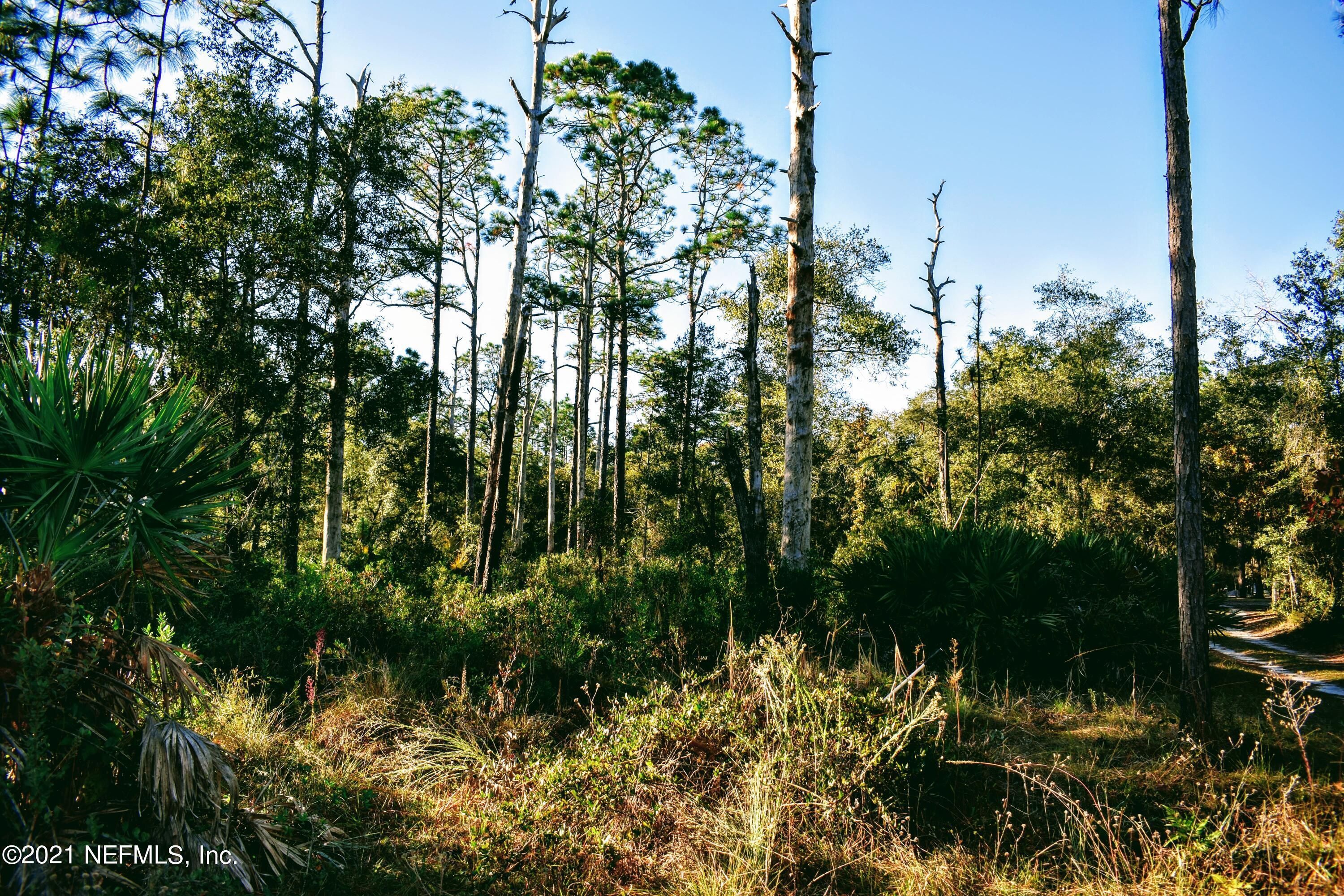 0 East Bannerville Road Palatka, FL 32177 - Photo 8 of 11 DSC_0097