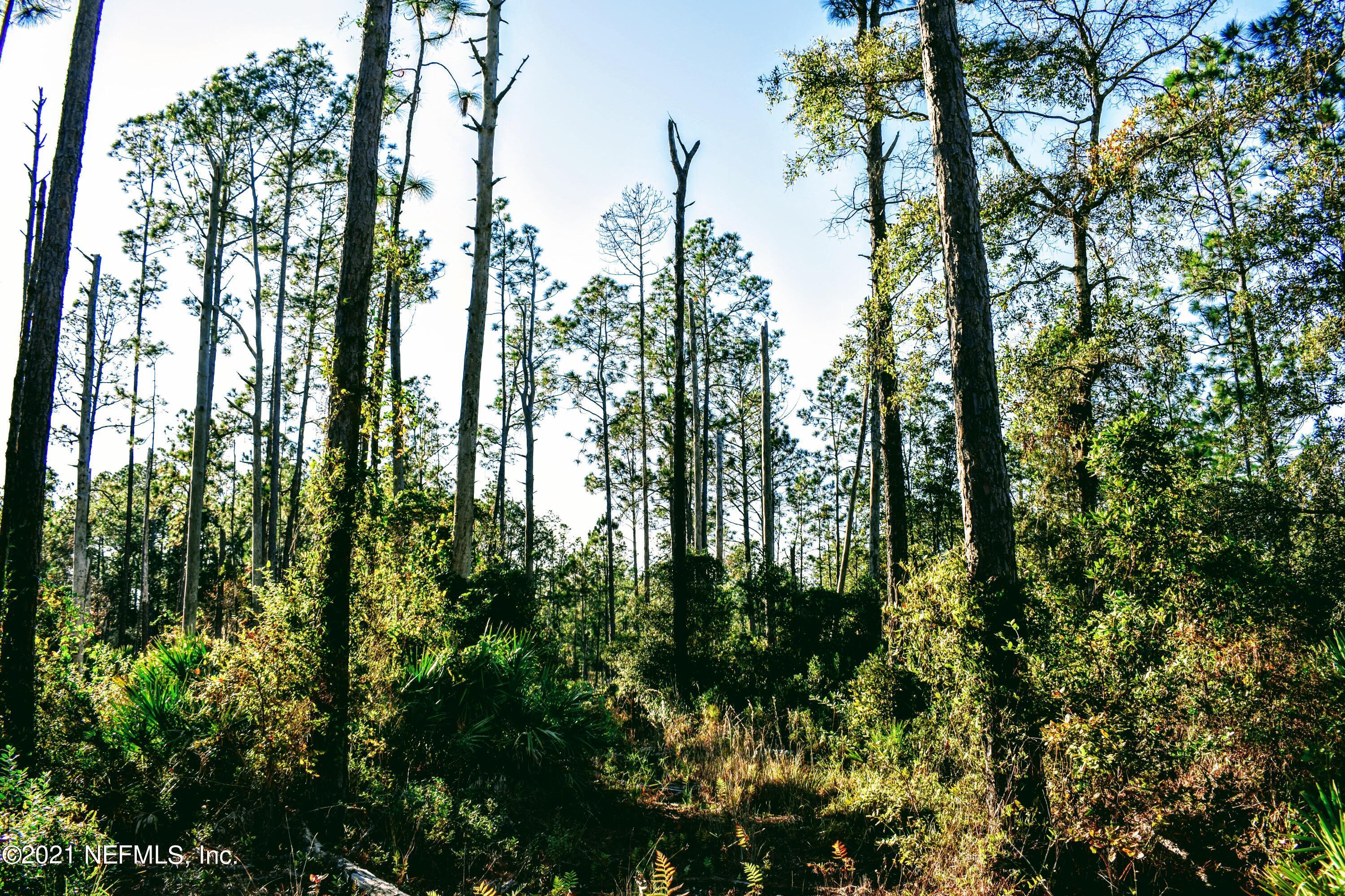 0 East Bannerville Road Palatka, FL 32177 - Photo 10 of 11 DSC_0101