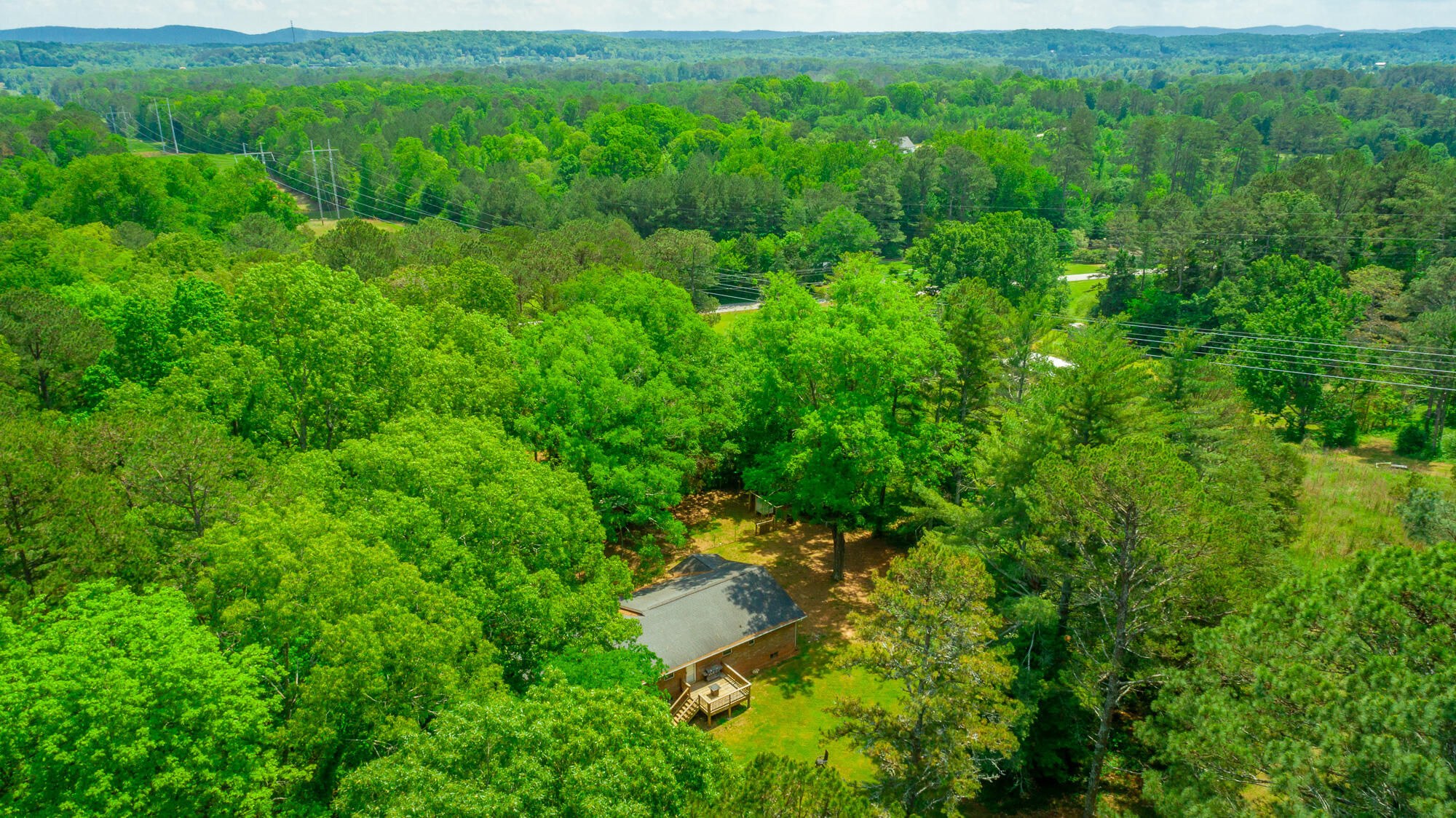 1590 Peavine Road Rock Spring, GA 30739 - Photo 38 of 45 1590 Peavine Road HD-117