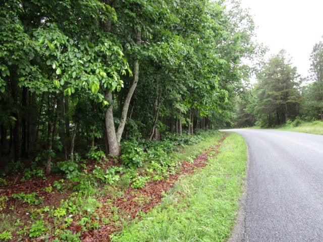 678 Doswell Town Road Meherrin, VA 23954 - Photo 1 of 1 Gallery Image 1