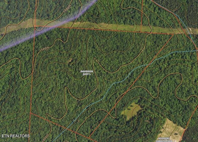 Hannah Davidson Road Sunbright, TN 37872 - Photo 2 of 3 20251113210151022952000000-o