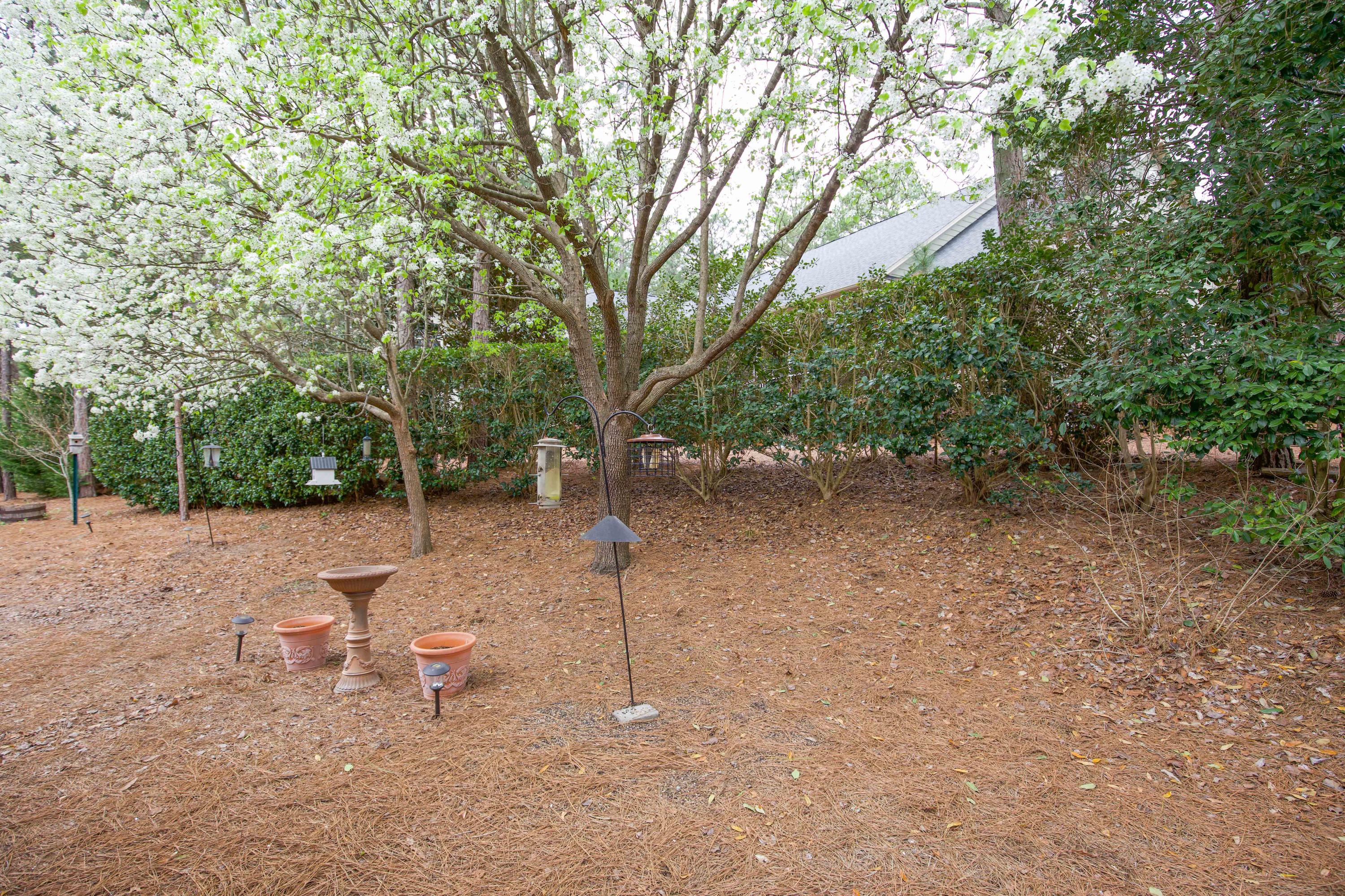 101 Santa Anita Way Rincon, GA 31326 - Photo 49 of 58 125 Pitch Pine Ln-64