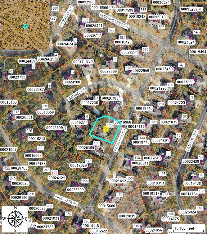 101 Santa Anita Way Rincon, GA 31326 - Photo 53 of 58 GIS Map Zoomed Out