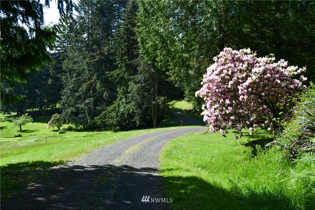 1341 Whitney Road Quilcene, WA 98376 - Photo 20 of 24 Gallery Image 20