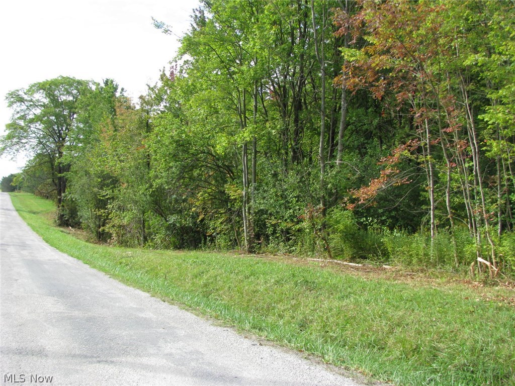 V/l Sumner Road Thompson, OH 44086 - Photo 2 of 17