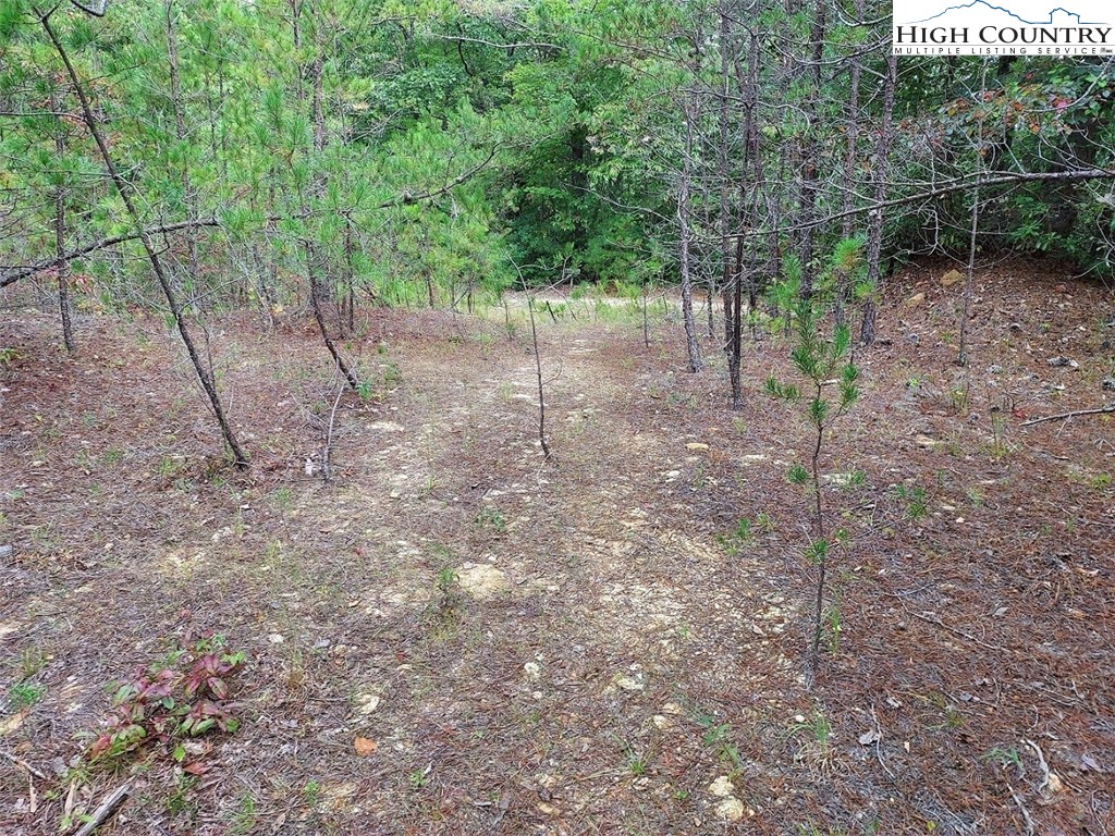 71 Elk Horn Road Ferguson, NC 28624 - Photo 1 of 14 a view of a yard with a tree