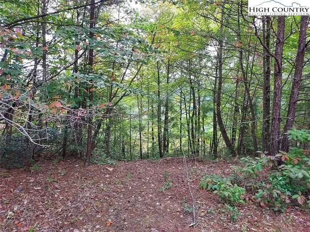 a view of outdoor space and green space