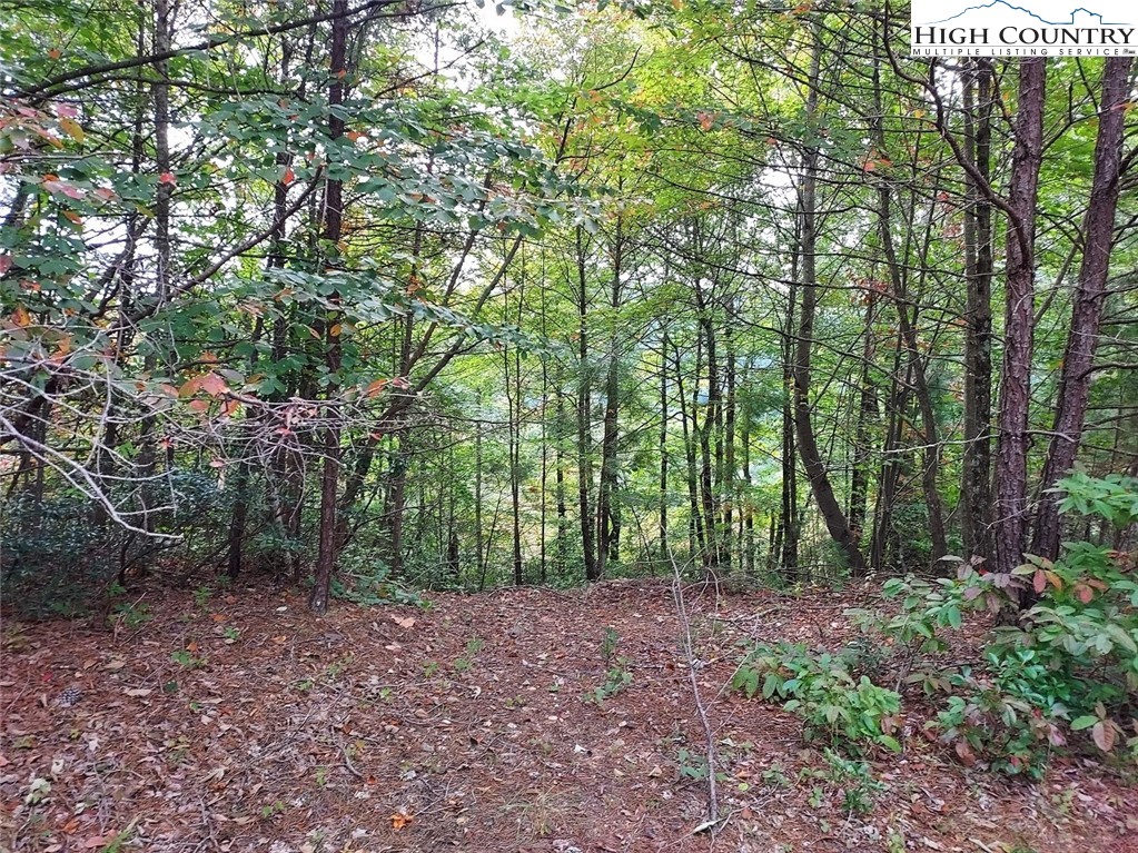 71 Elk Horn Road Ferguson, NC 28624 - Photo 2 of 14 a view of outdoor space and green space