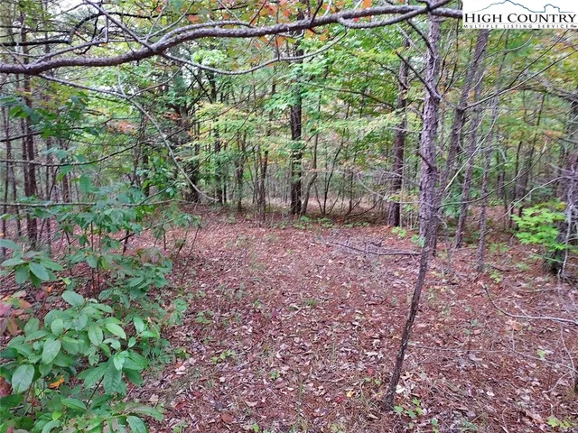 a backyard of a house with lots of green space and fountain