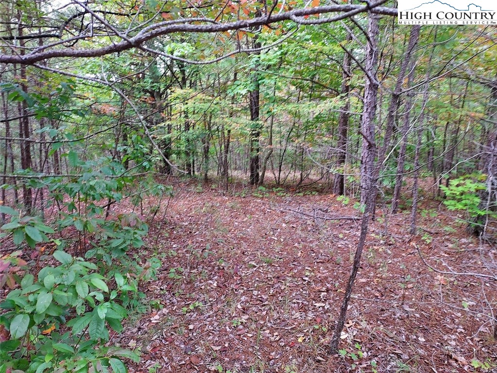 71 Elk Horn Road Ferguson, NC 28624 - Photo 3 of 14 a backyard of a house with lots of green space and fountain