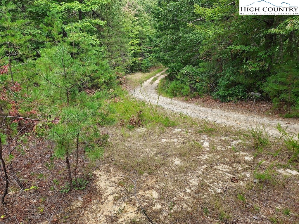 71 Elk Horn Road Ferguson, NC 28624 - Photo 5 of 14 a view of a yard with plants and a tree