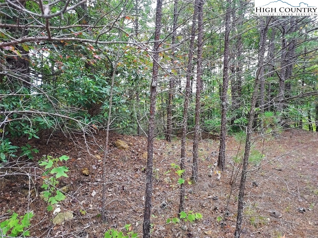 71 Elk Horn Road Ferguson, NC 28624 - Photo 6 of 14 a backyard of a house with lots of green space
