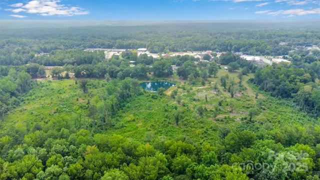 a view of a bunch of trees and bushes