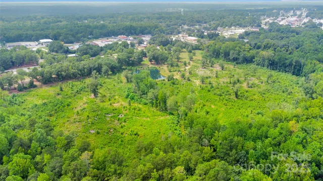 an aerial view of residential house with green space
