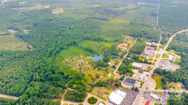 a close up of a flower in a garden