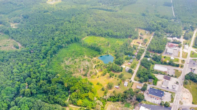 a close up of a tree