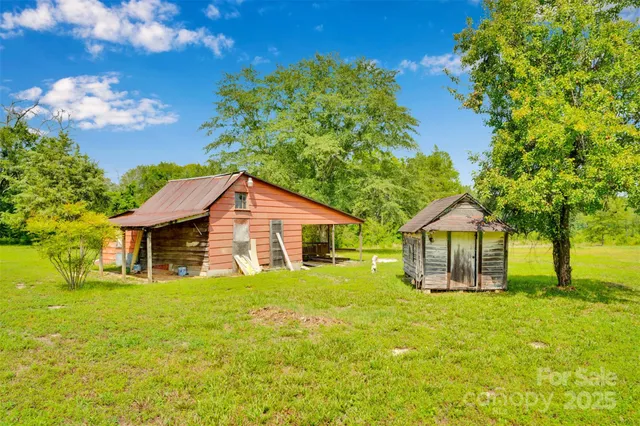 a close up of a lush green forest