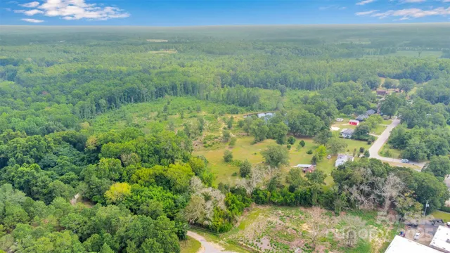 a bird view of a garden