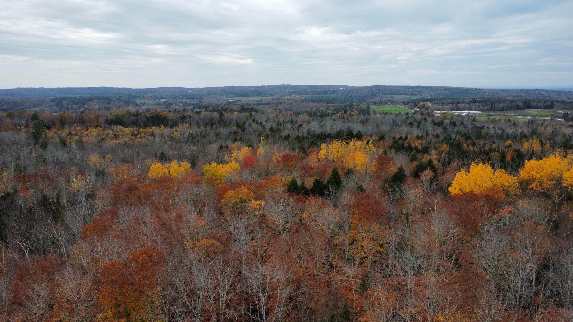 Lot 6 Hamm Road Thorndike, ME 04986 - Photo 13 of 15 D6D399AD-FD27-4644-9A5F-A19A055D7221