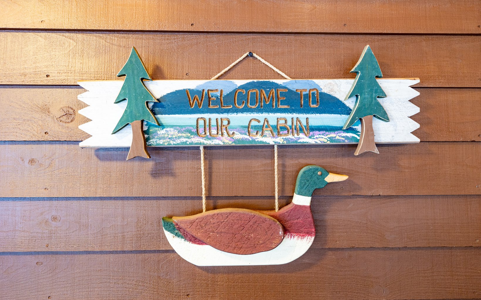 271 Rolling Hill Morganton, GA 30560 - Photo 12 of 69 a street sign on a wall next to a road