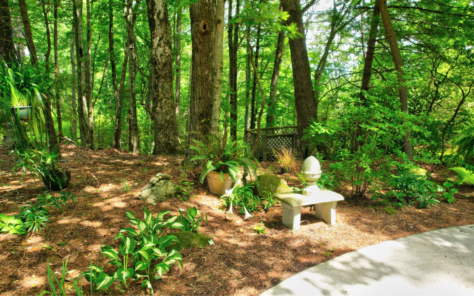360 Apache Trail Chatsworth, GA 30705 - Photo 37 of 41 a chair and a table in a garden