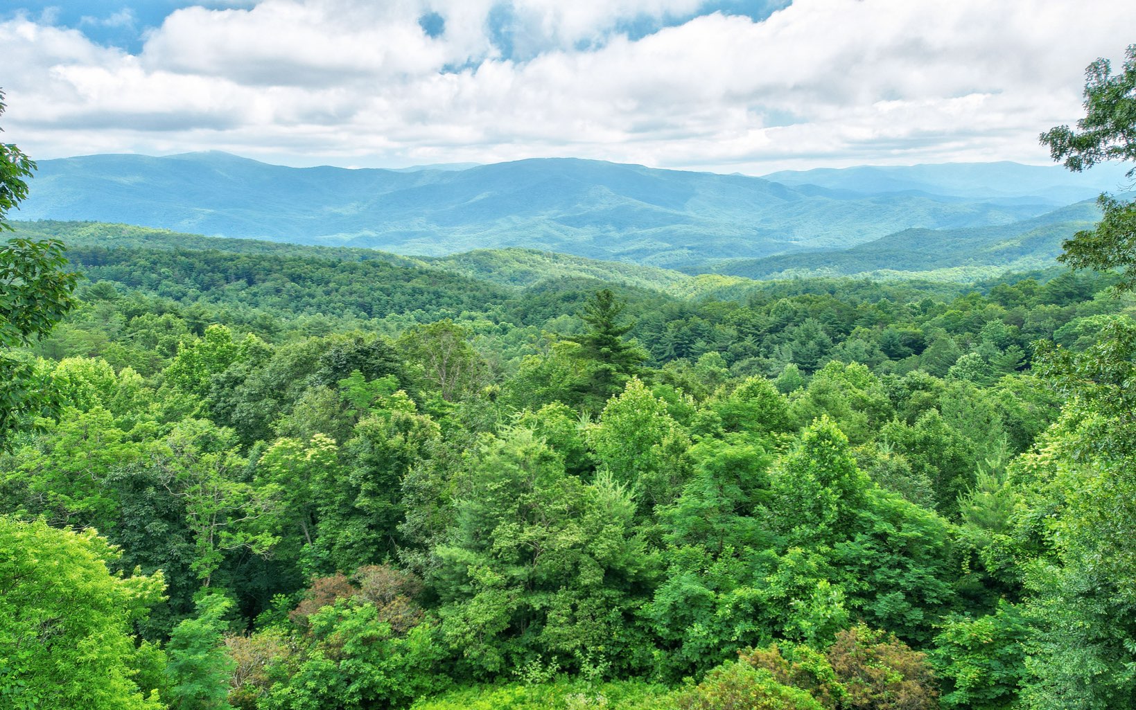 360 Apache Trail Chatsworth, GA 30705 - Photo 39 of 41 a view of a lush green space with sea