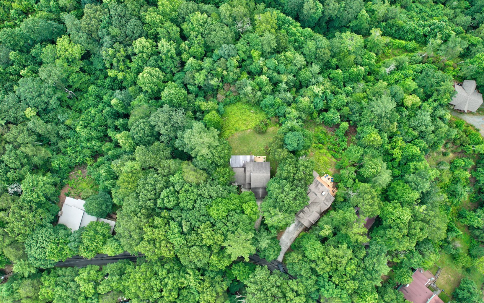 360 Apache Trail Chatsworth, GA 30705 - Photo 40 of 41 a view of a house with a tree