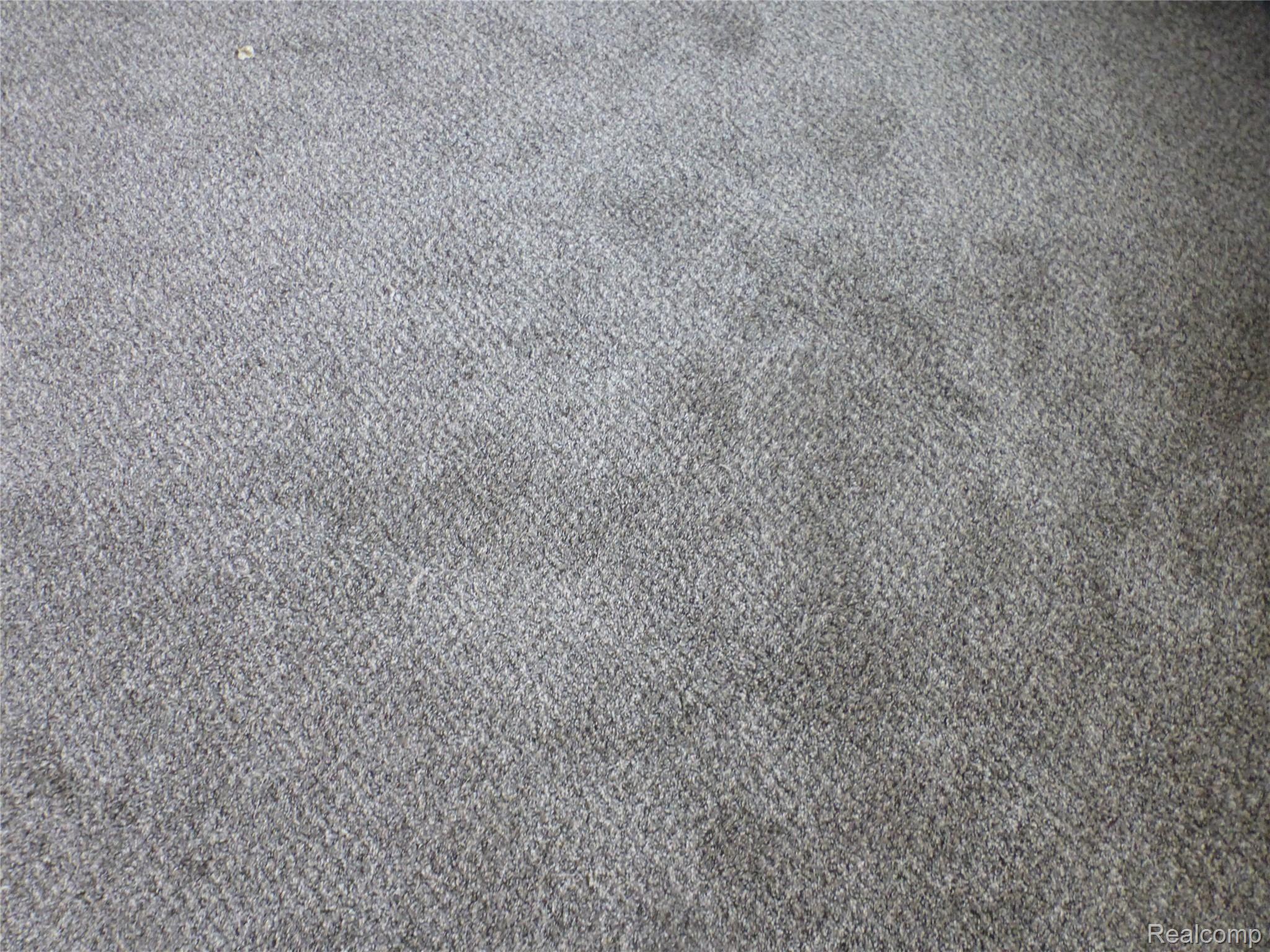 7761 South Eston Road Clarkston, MI 48348 - Photo 8 of 31 Brand new carpet!